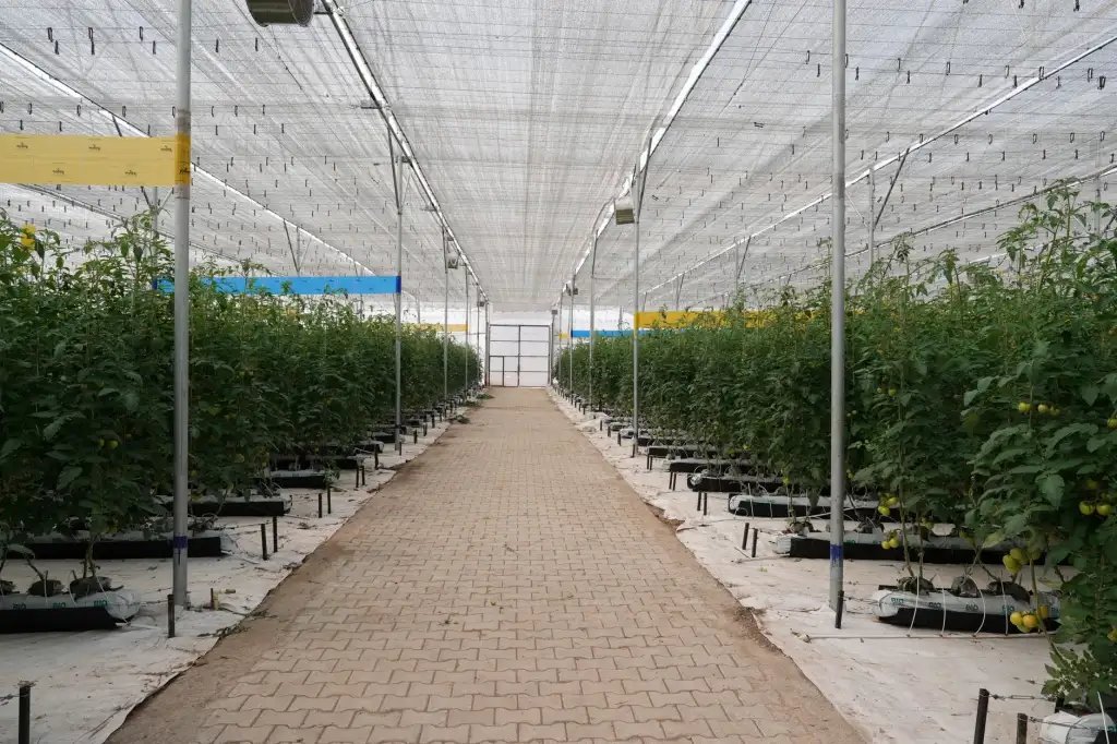 重庆安云途解读:文件柜材质选择对办公空间耐用性的影响分析